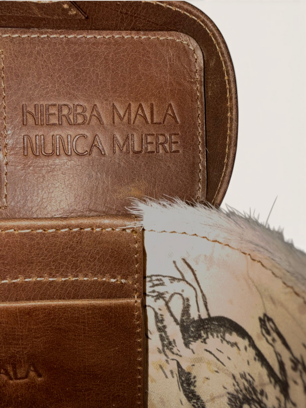 Gaitana 05 Miel