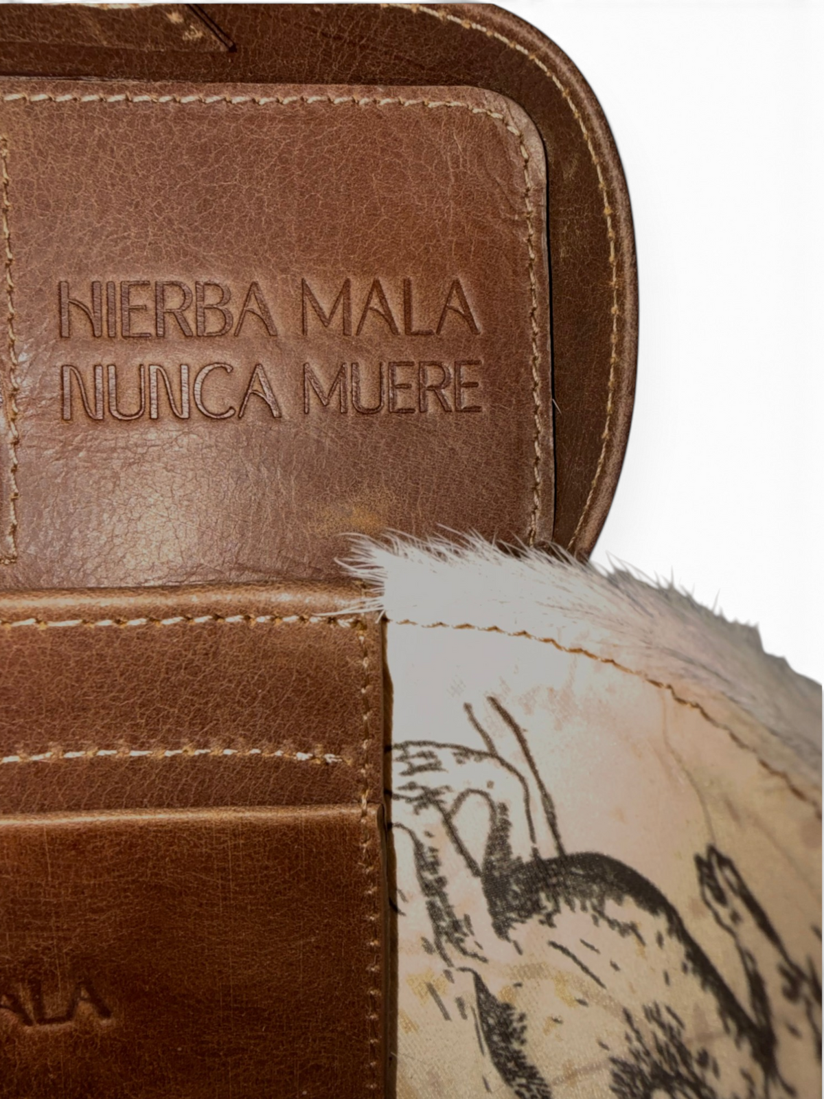 Gaitana 06 Miel